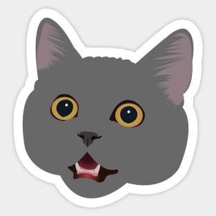 Grey British Shorthair Cat Sticker